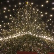 der groÃŸe Baum mit LED Sternenhimmel Ã¼ber dem Weihnachtsmarkt am KÃ¶lner Dom (28.11.2017)