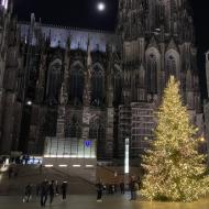 Bonusfoto : der traditionelle Weihnachtsbaum am KÃ¶lner Dom - vor dem Hauptbahnhof (4.12.2019)