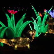neben Tieren werden auch Pflanzen nachgebildet - China Light-Festival im KÃ¶lner Zoo 2019/20