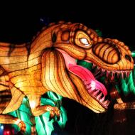 eine Dinosaurier-Szene zeigte diesen T-Rex, eine von den bewegenden Figuren - China Light-Festival im KÃ¶lner Zoo 2019/20