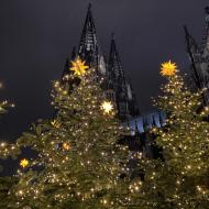 die Roncalli-Patz-Bäume standen direkt am Kölner Dom  - Kölner Weihnachtsmärkte 2020 (12.12.2020)
