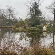 Blick auf den groÃŸen Teich - im Hintergrund ist die neue Orangerie zu sehen - Winter in der KÃ¶lner Flora (10.01.2020)