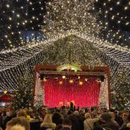 Weihnachtsmarkt am Kölner Dom - Weihnachtsbäume 2021