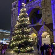 Weihnachtsbaum auf dem Weihnachtgsmarkt auf dem Breitscheidplatz / Kaiser Wilhelm Gedächtnis Kirche (11.12.2021) - Weihnachtsbäume 2021