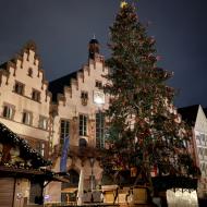 Weihnachtsbaum auf dem Weihnachtsmarkt auf dem Frankfurter Römerberg nach Feierabend (04.12.2021) - Weihnachtsbäume 2021