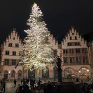 der Weihnachtsbaum vom Weihnachtsmarkt auf dem Frankfurter Römerberg war noch zum Jahreswechsel zu sehen (02.01.2022) - Weihnachtsbäume 2021