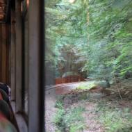 Blick in den Wald - unterwegs auf der Kasbachtalbahn