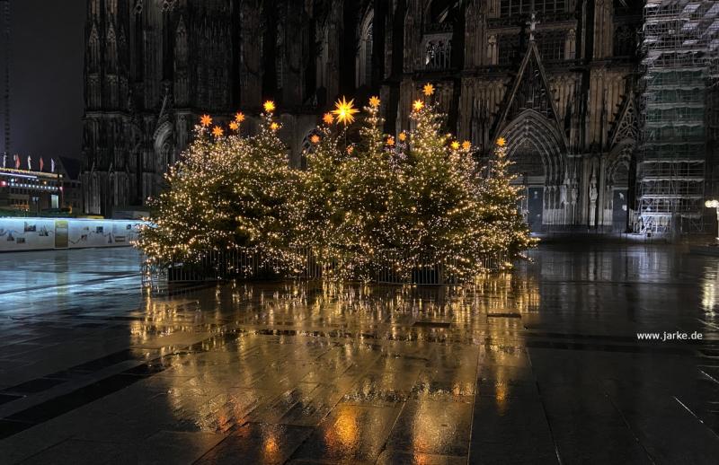 Weihnachtsbäume wurden extra auf dem Roncalli Platz aufgestellt, um festlich geschmückt zu werden - Kölner Weihnachtsmärkte 2020 (12.12.2020)
