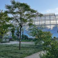 Blick auf die neuen Gewächshäuser ** Kölner Flora - die Eröffnung der neuen Schaugewächshäuser (Juni 2026)