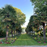 die Palmenallee ** Kölner Flora - die Eröffnung der neuen Schaugewächshäuser (Juni 2026)